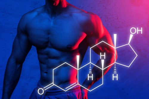Synthèse protéique : on vous explique comment maximiser votre prise de masse musculaire