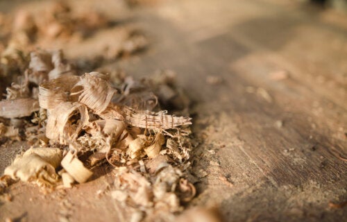 8 utilisations pratiques que vous pouvez donner à la sciure de bois à la maison