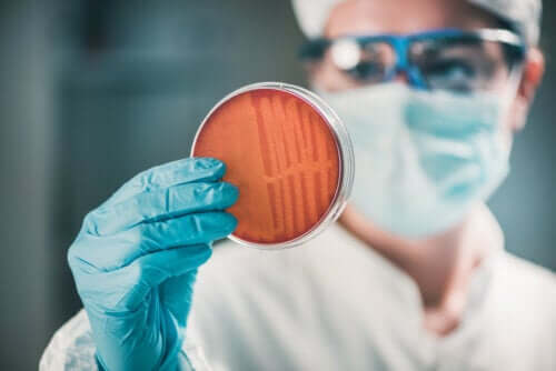 Superbactéries : quel risque peuvent-elles représenter à l'avenir ?