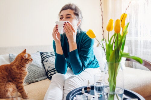 15 plantes que vous ne devriez pas avoir chez vous si vous souffrez d'allergies