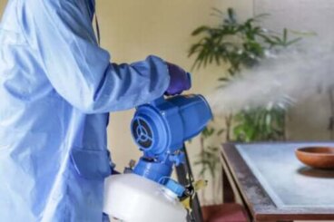 Comment nettoyer après une fumigation ? Étapes et conseils