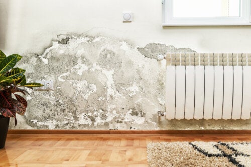 Infiltration d'humidité dans la maison : comment y remédier ?