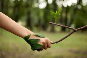 Les 14 meilleures phrases pour les amoureux de la nature, des plantes et de la vie