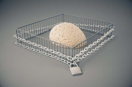 Que sont les normes inflexibles ?