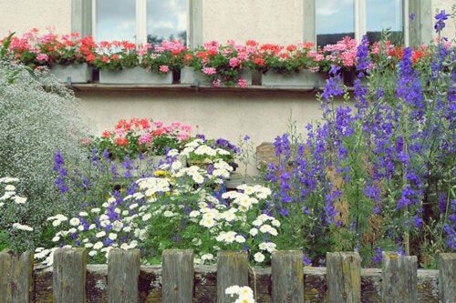 10 plantes à fleurs hautes pour donner de la verticalité à votre jardin