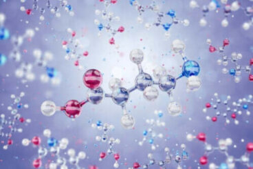 Phénylalanine : qu'est-ce que c'est et quelles sont ses fonctions ?