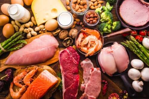 Des aliments délicieux et riches en protéines