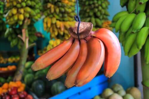 Banane rouge : quels sont ses bienfaits ?