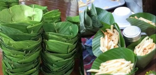 Un jeune homme a conçu des contenants à partir de feuilles pour éviter le plastique