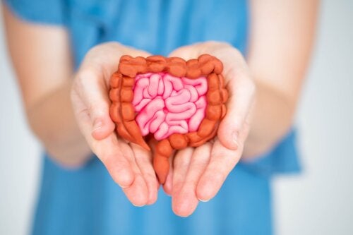 Prendre soin du microbiote vous aide à améliorer les symptômes de la ménopause