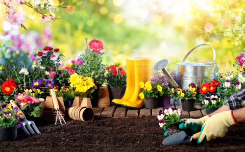 10 outils indispensables pour prendre soin de votre jardin au printemps