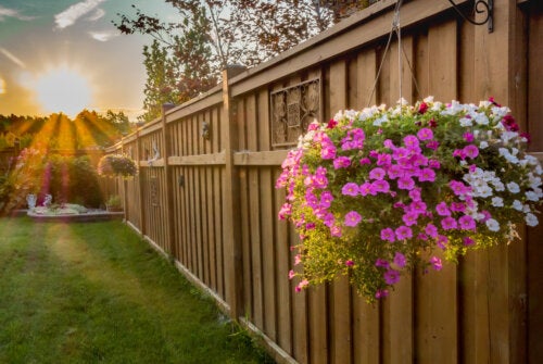 6 idées pour définir et embellir un jardin ou une prairie