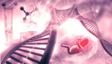 Syndrome d'insensibilité aux androgènes : causes et effets