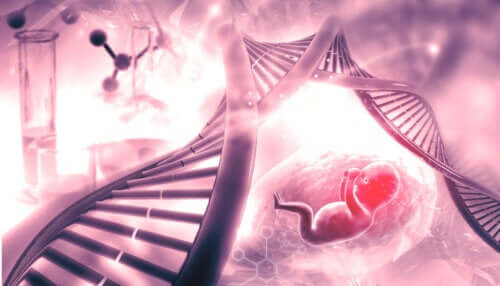 Syndrome d'insensibilité aux androgènes : causes et effets