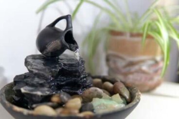 Où placer une fontaine à eau selon le feng shui ?