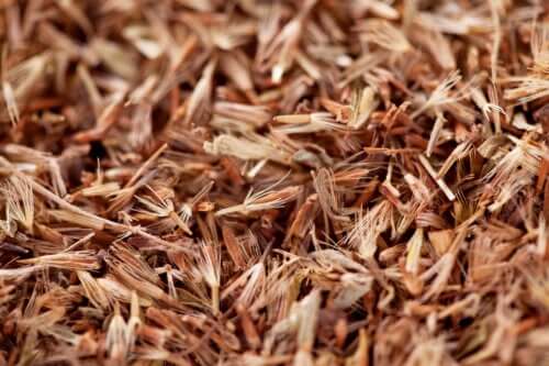 Huile essentielle de Palmarosa : utilisations, bienfaits et astuces