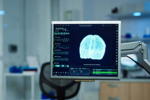 Neurosciences : une nouvelle méthode pour les entraînements du Liverpool FC