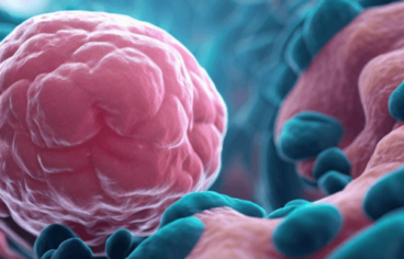 Un nouveau vaccin expérimental contre le cancer du pancréas donne des résultats prometteurs