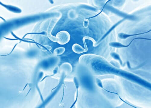 18 faits curieux que vous ne connaissiez pas sur le liquide séminal et le sperme
