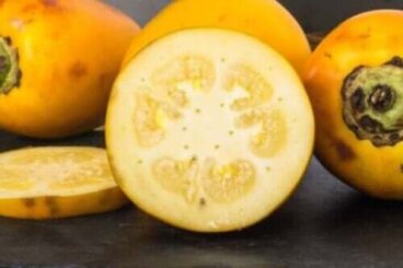 Qu'est-ce que le cocona et quels sont ses bienfaits pour la santé ?