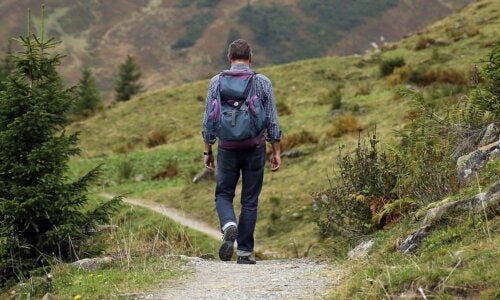 Pourquoi les sons de la nature sont-ils bénéfiques pour la santé ?