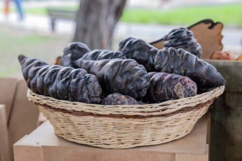 Mashua noir : composition nutritionnelle et bienfaits possibles