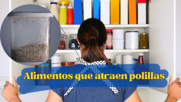 Aliments qui attirent les mites dans votre maison