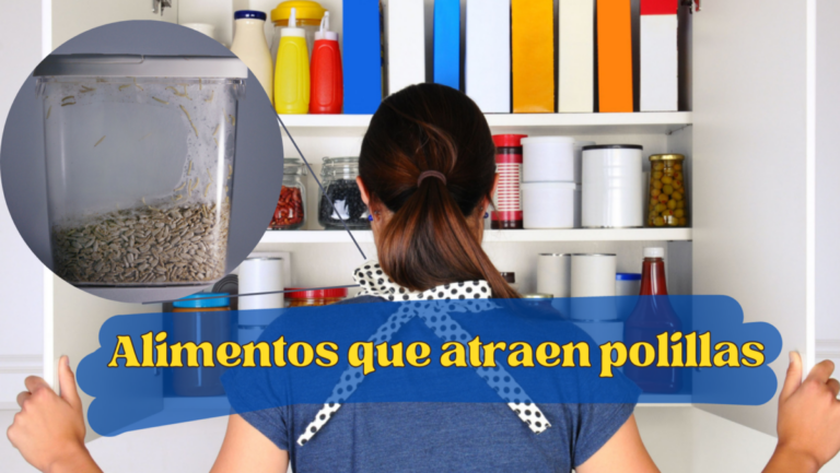 Aliments qui attirent les mites dans votre maison