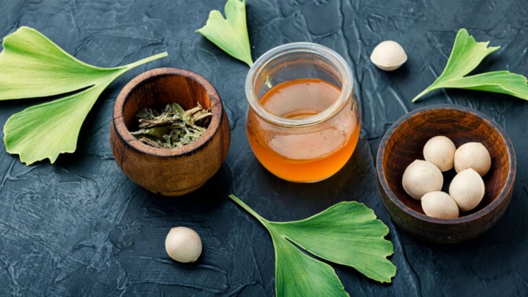 Ginkgo biloba: propriétés, avantages et usages