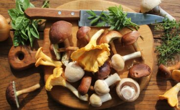 Champignons comestibles: comment les identifier et les cuisiner?