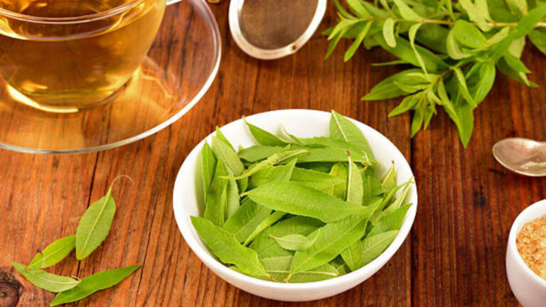Verveine citronnée : propriétés et contre-indications