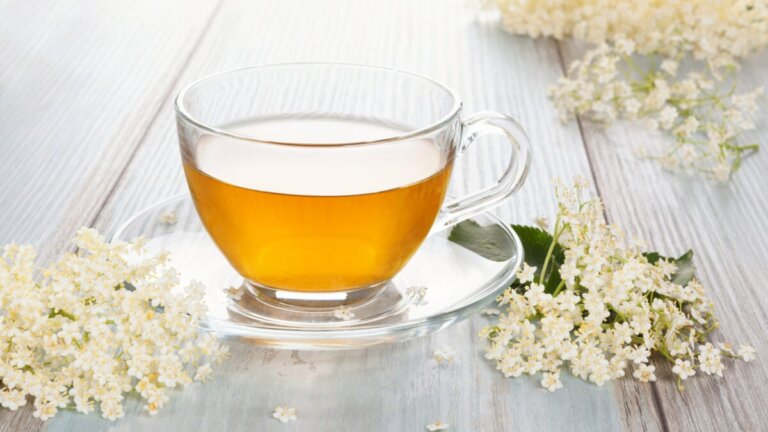 Propriétés et consommation des fleurs de sureau