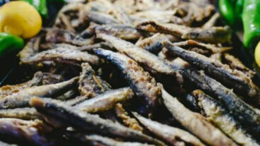 Melva : le poisson bleu nutritif que peu de personnes connaissent