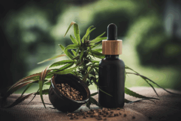 CBD et santé mentale : un allié naturel pour retrouver l’équilibre