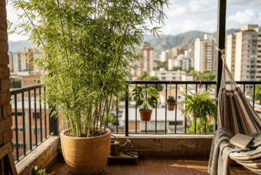 7 plantes hautes et résistantes pour préserver l'intimité sur les balcons sans faire obstacle à la lumière