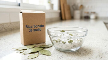 Le laurier et le bicarbonate de soude : comment s'en servir pour désodoriser vos pièces