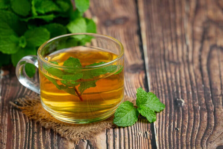 Le réconfort rafraîchissant dont votre esprit a besoin lorsque le rythme de travail s'accélère. Anticipez la fatigue en préparant à l'avance une boisson à base de plantes qui apaise la tension et rafraîchit le palais.