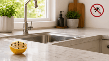 Chassez les mouches et les moustiques avec du citron et des clous de girofle : comment préparer ce répulsif maison