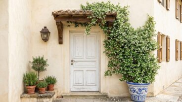 Le jasmin de lait dans une entrée ensoleillée : comment le guider pour qu'il embaume sans s'emmêler
