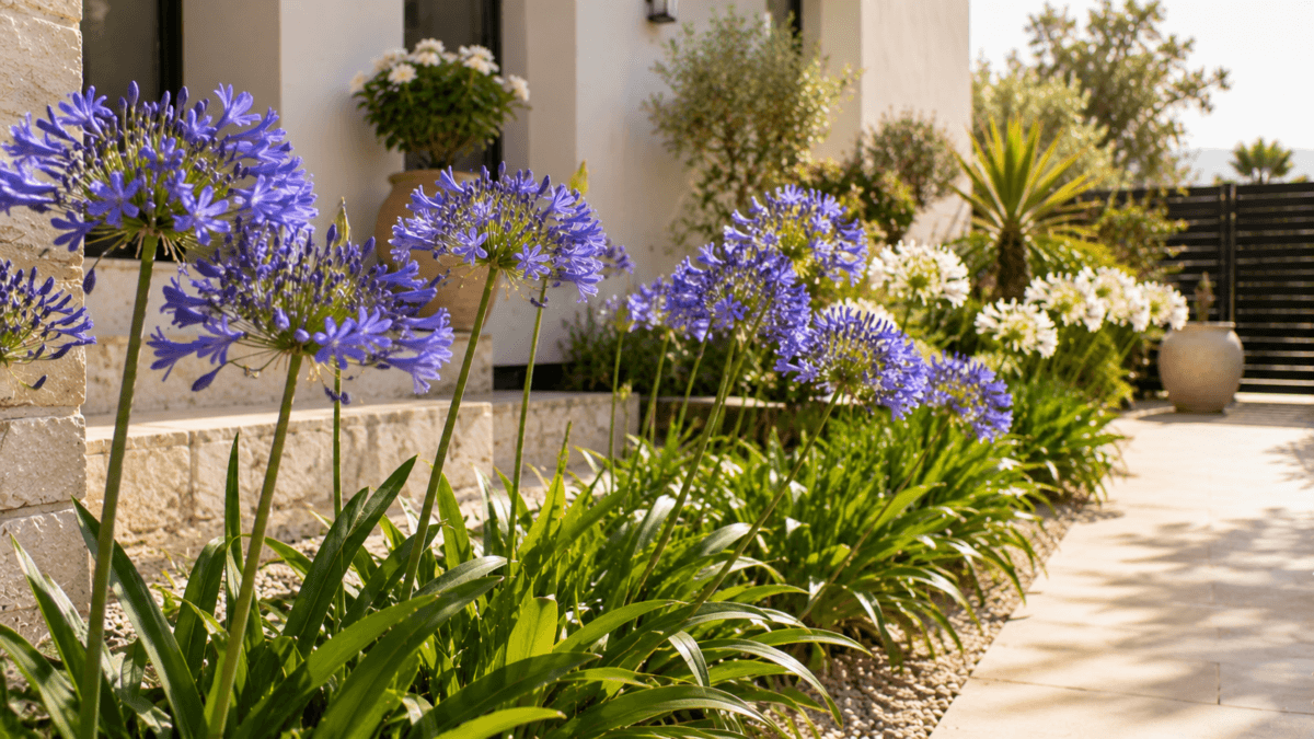 Plantes ornementales résistantes : 6 options esthétiques et faciles à entretenir
