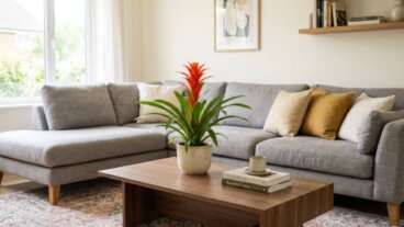 La Guzmania en été : comment entretenir la rosette pour qu'elle reste belle