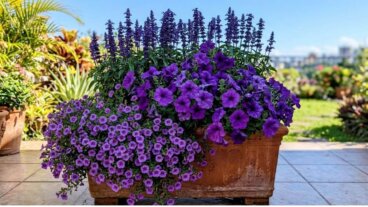 5 plantes à fleurs violettes pour apporter de la couleur à vos jardinières