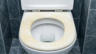 Comment blanchir le couvercle jaune des toilettes avec ce que vous avez chez vous (avant d'en acheter un nouveau)