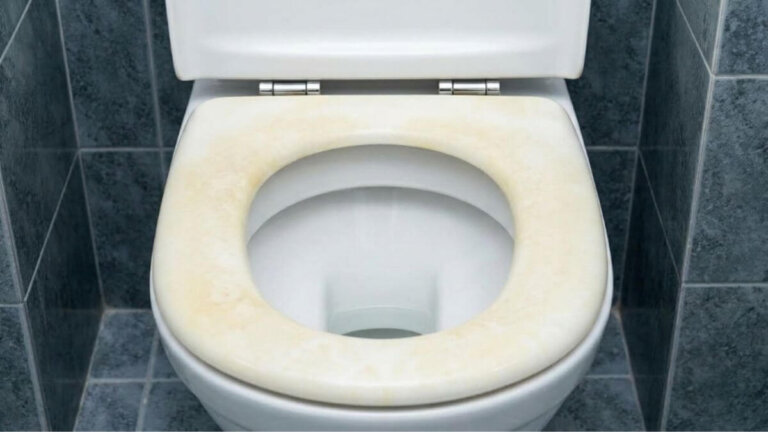 Comment blanchir le couvercle jaune des toilettes avec ce que vous avez chez vous (avant d'en acheter un nouveau)